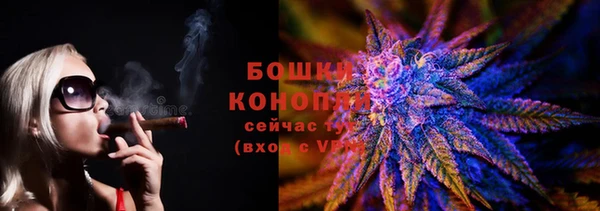 спайс Рославль