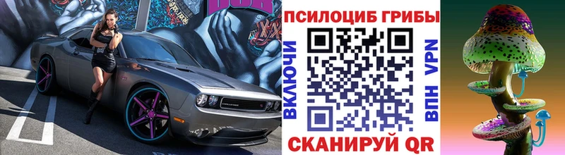 Псилоцибиновые грибы Cubensis  Усть-Илимск 