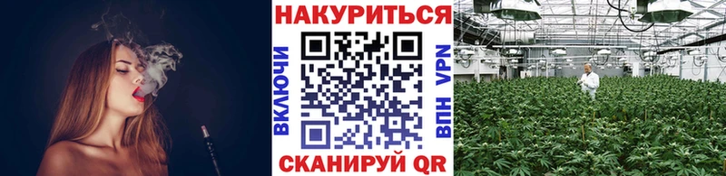 Бошки Шишки ГИДРОПОН  где продают   Усть-Илимск 